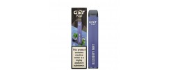 GST Plus Blueberry Mint Disposable Vape Device 20m...